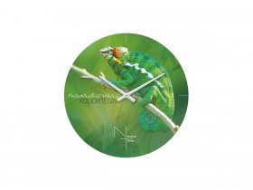 Часы настенные Nicole Time NT503 в Восходе - voskhod.mebel-nsk.ru | фото