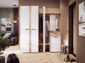 Модульная прихожая Санса (дуб сонома/белый) в Восходе - voskhod.mebel-nsk.ru | фото